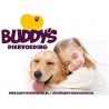 Buddys